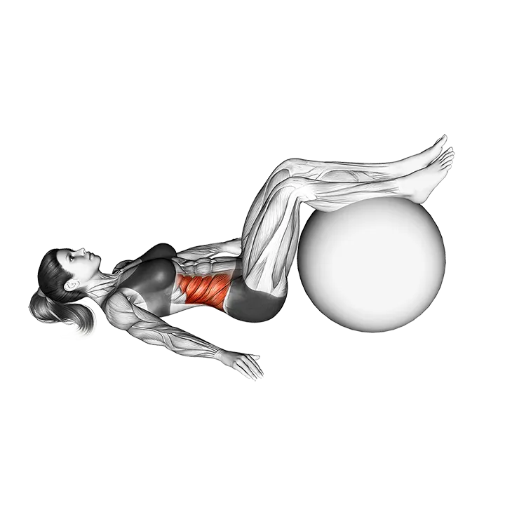 Bent-knee Lying Twist (On Stability Ball) exercise animation (Female)