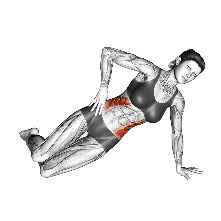Bent-Knee Side Plank exercise animation (Female)