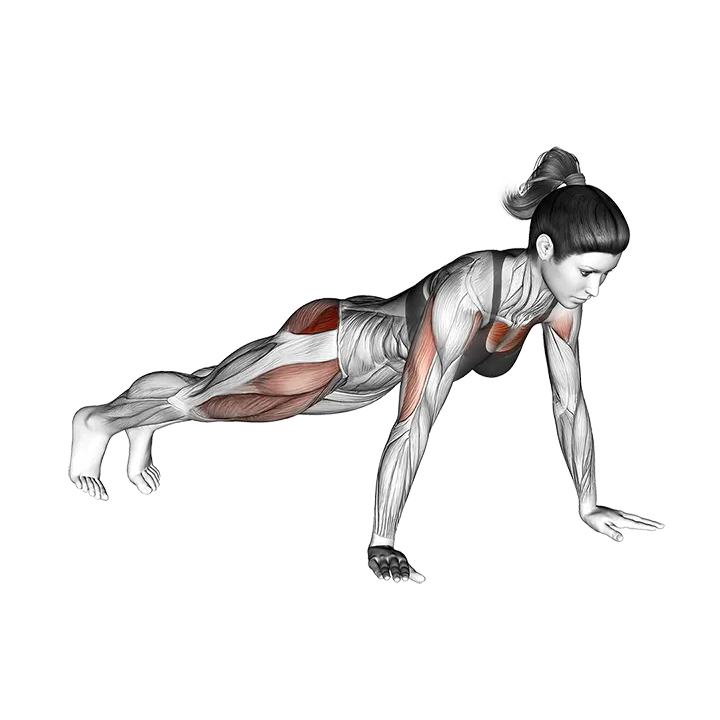 Bent Side Knee Push-up exercise animation (Female)