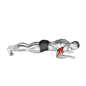 Body-Up
