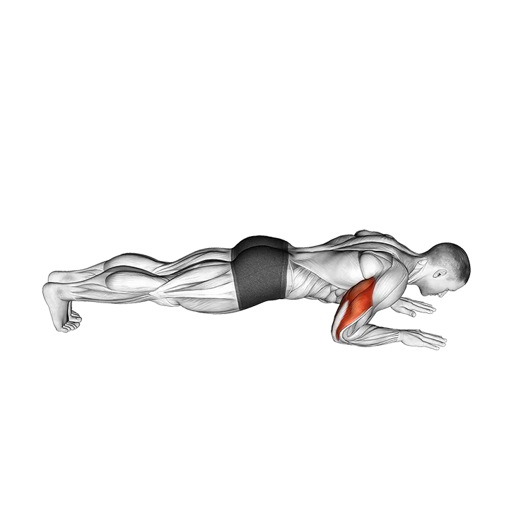 Body-Up exercise animation (Male)