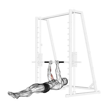 Brachialis Narrow Pull-ups
