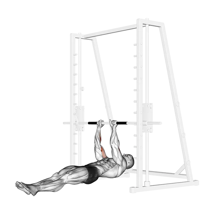 Brachialis Narrow Pull-ups exercise animation (Hombre)