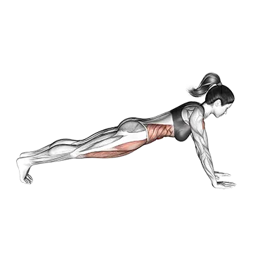 Bridge (straight arm)