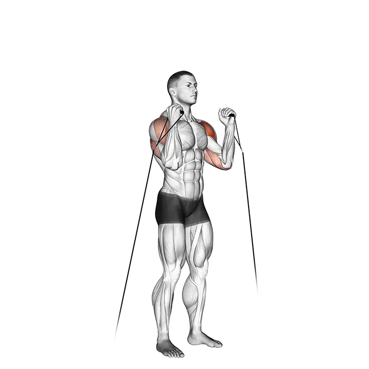 Cable Alternate Shoulder Press exercise animation (Male)