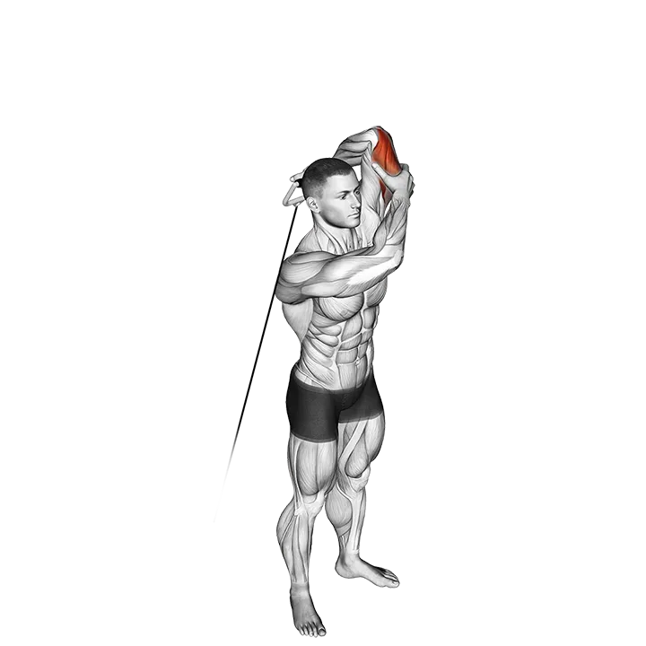 Cable Alternate Triceps Extension exercise animation (Male)