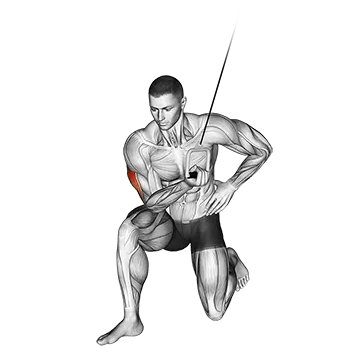 Cable Concentration Extension (on knee)