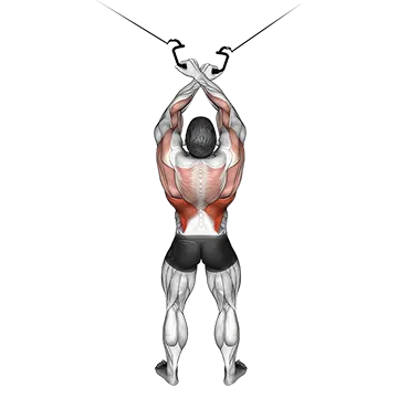 Cable Cross-over Lateral Pulldown