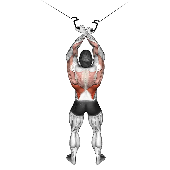 Cable Cross-over Lateral Pulldown exercise animation (Male)