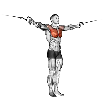 Cable Cross-over Variation