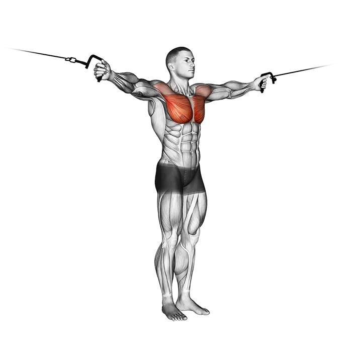 Cable Cross-over Variation exercise animation (Male)