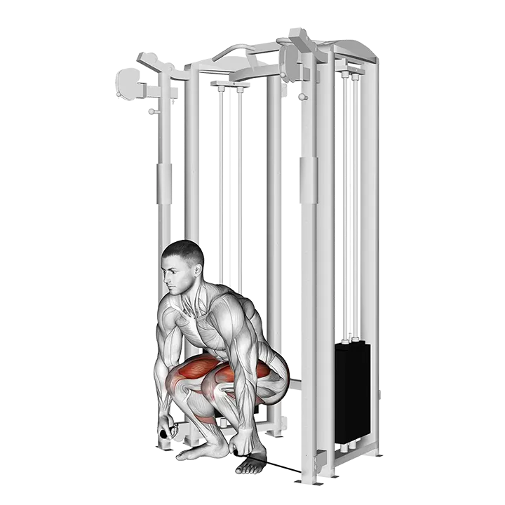 Cable Deadlift exercise animation (Male)