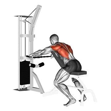 Cable Decline Seated Wide-grip Row