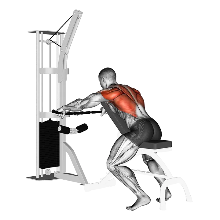 Cable Decline Seated Wide-grip Row exercise animation (Male)