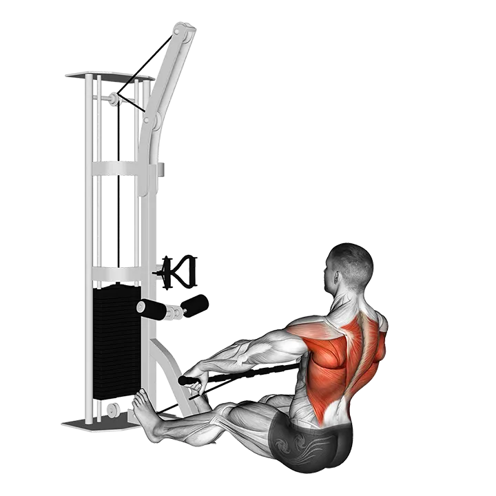 Cable Floor Seated Wide-grip Row exercise animation (Male)