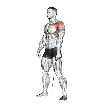 Cable Forward Raise