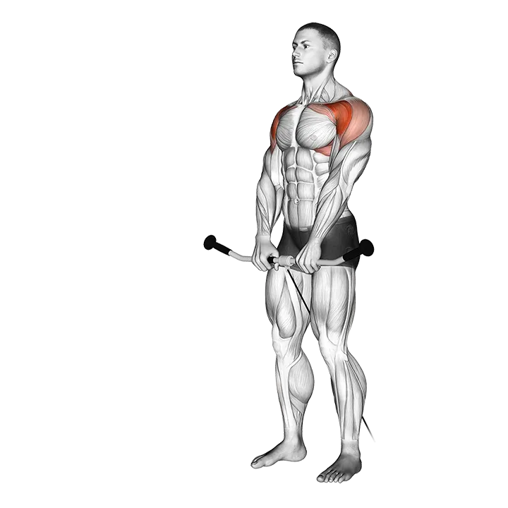 Cable Front Raise exercise animation (Male)