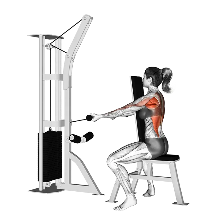 Cable Front Seated Row exercise animation (Female)