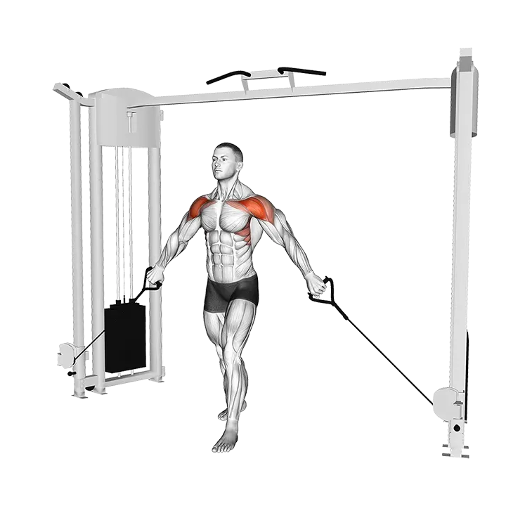 Cable Front Shoulder Raise exercise animation (Male)