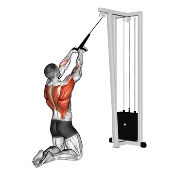 Cable High Row (kneeling)