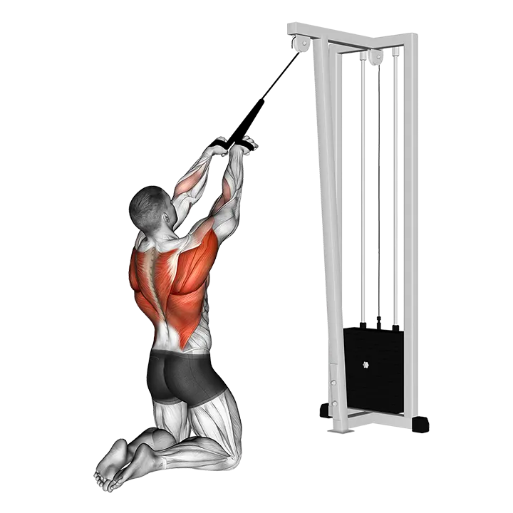 Cable High Row (kneeling) exercise animation (Male)