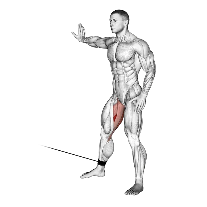 Cable Hip Adduction exercise animation (Male)