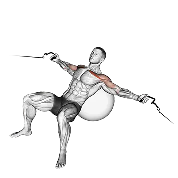 Cable Incline Fly (on stability ball)