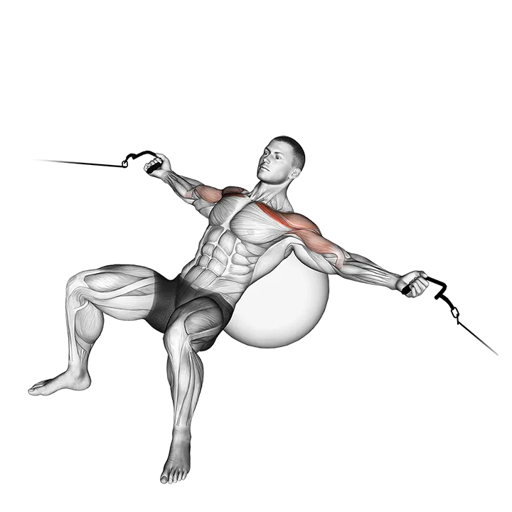 Cable Incline Fly (on stability ball) exercise animation (Male)