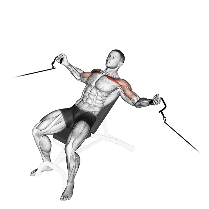 Cable Incline Fly exercise animation (Male)