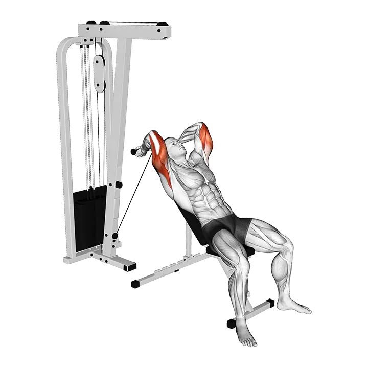 Cable Incline Triceps Extension exercise animation (Male)