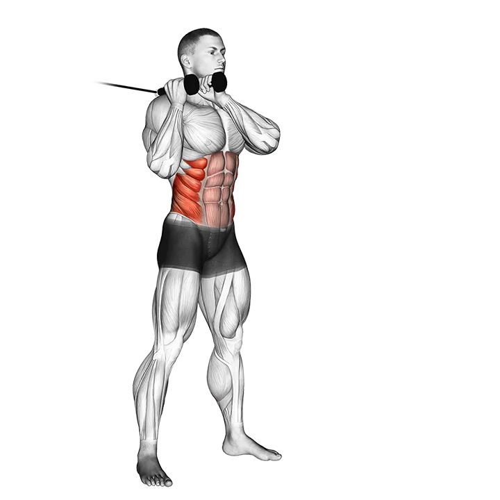 Cable Judo Flip exercise animation (Male)