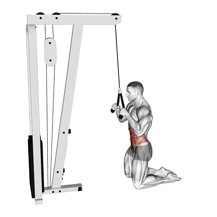 Cable Kneeling Crunch exercise animation (Male)
