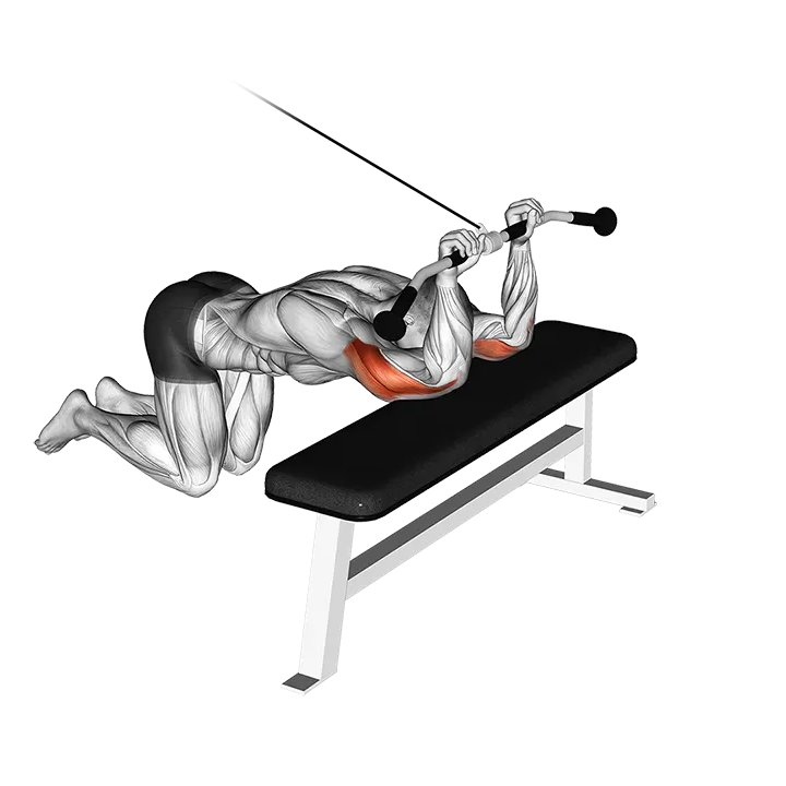 Cable Kneeling Triceps Extension exercise animation (Male)