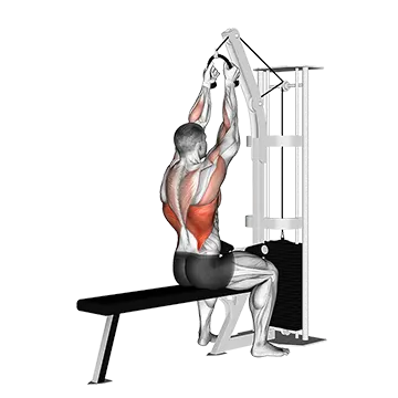 Cable Lateral Pulldown (with rope attachment)