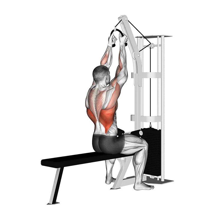 Cable Lateral Pulldown (with rope attachment) exercise animation (Male)