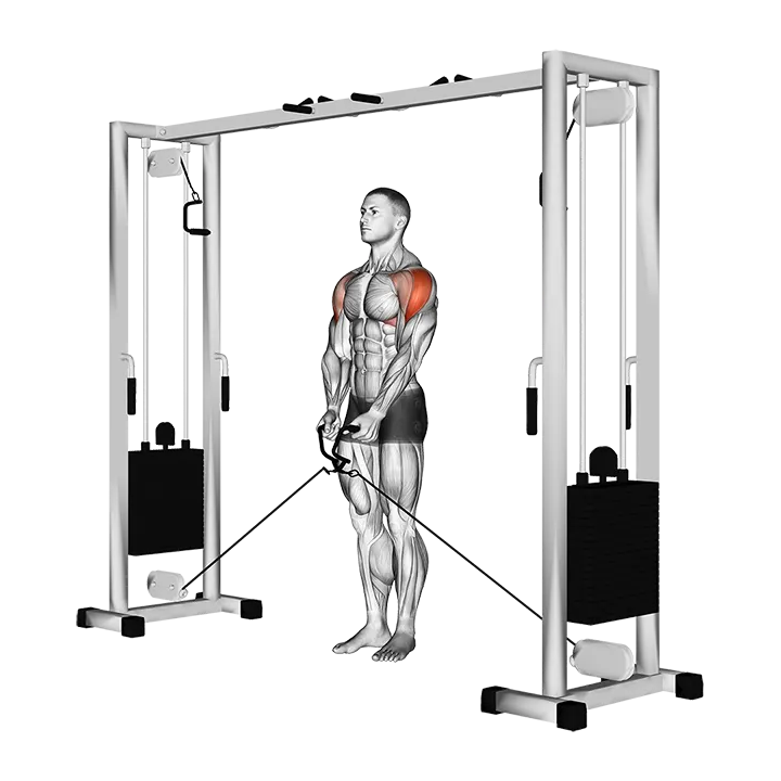 Cable Lateral Raise exercise animation (Male)