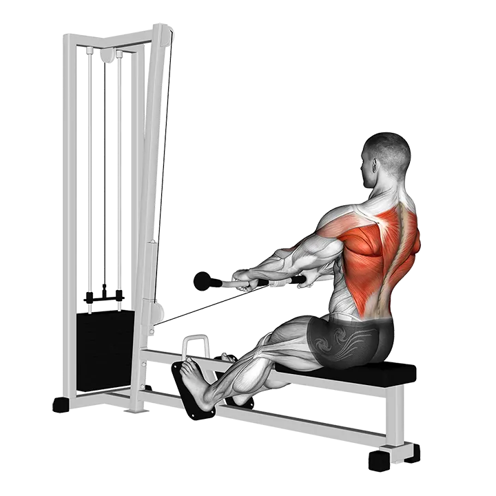 Cable Low Seated Row exercise animation (Male)