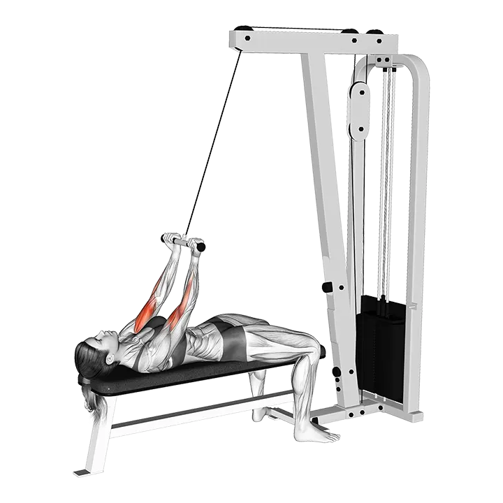 Cable Lying Close-grip Curl exercise animation (Mujer)