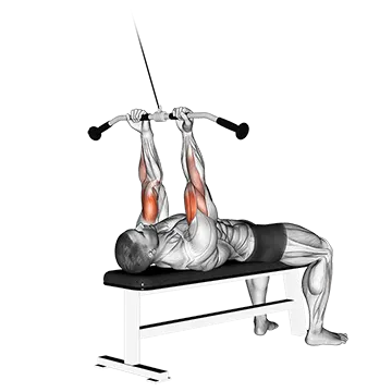 Cable Lying Close-grip Curl