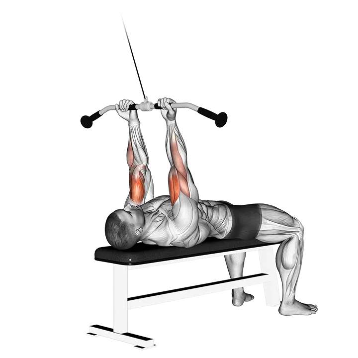 Cable Lying Close-grip Curl exercise animation (Male)