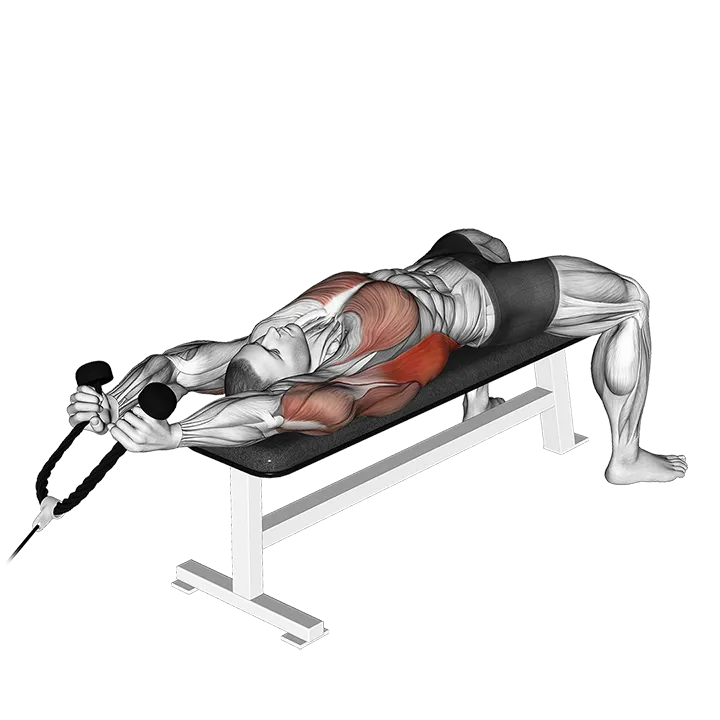 Cable Lying Extension Pullover (with rope attachment) exercise animation (Männlich)