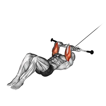 Cable Lying Triceps Extension (version 2)