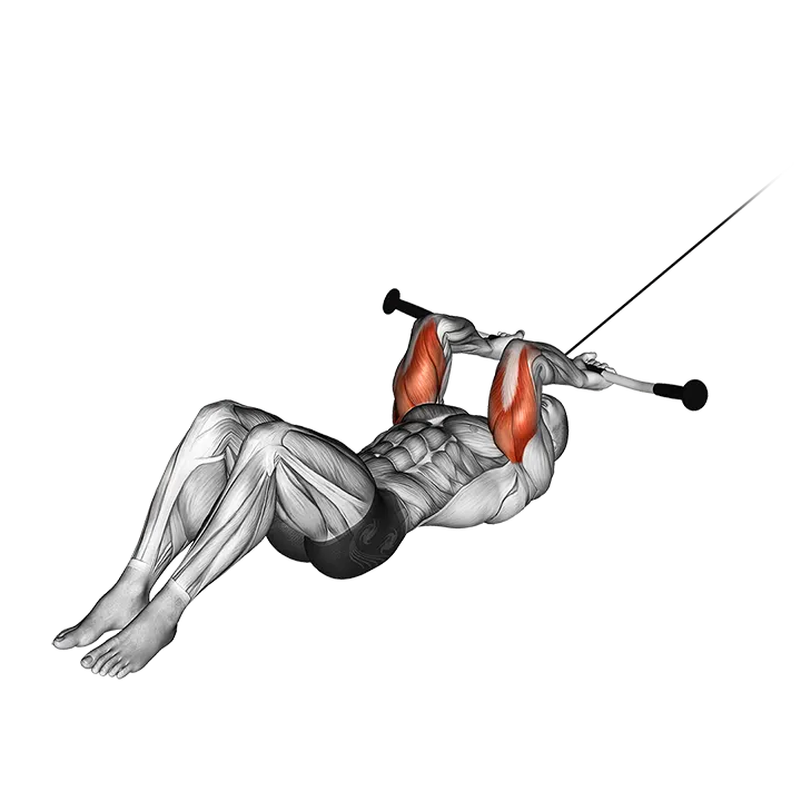 Cable Lying Triceps Extension (version 2) exercise animation (Male)