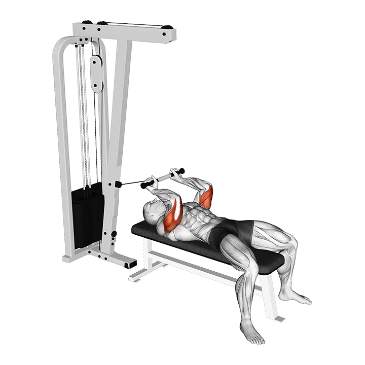 Cable Lying Triceps Extension exercise animation (Male)
