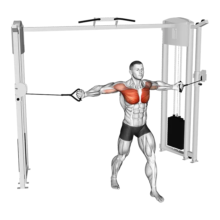 Cable Middle Fly exercise animation (Male)