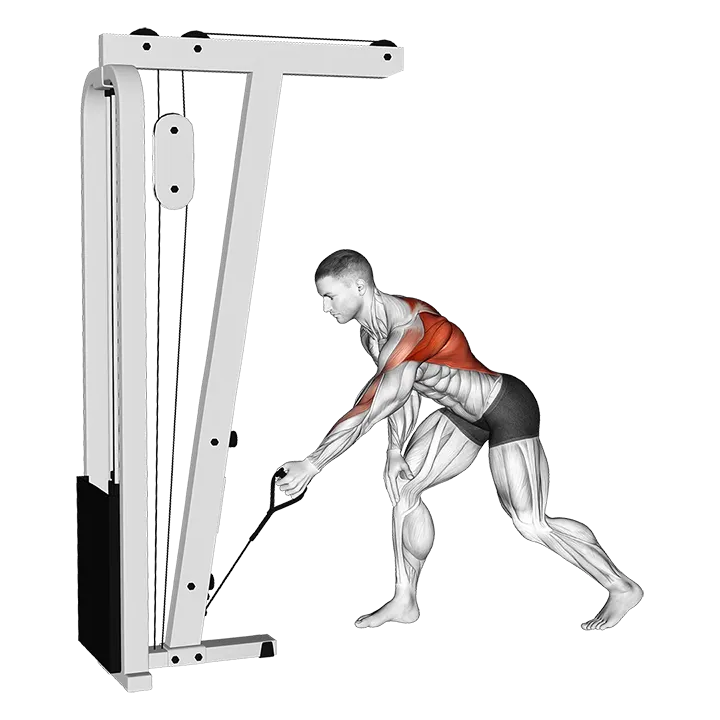 Cable One Arm Bent over Row exercise animation (Male)