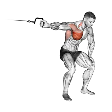 Cable One Arm Lateral Bent-over
