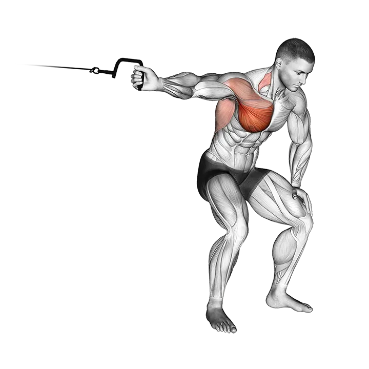 Cable One Arm Lateral Bent-over exercise animation (Male)