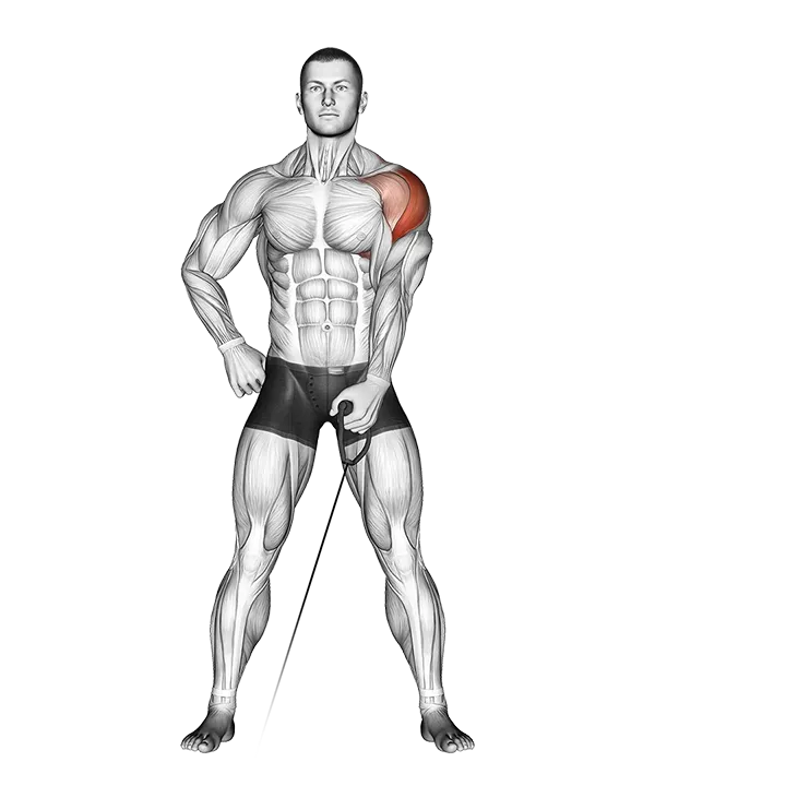 Cable One Arm Lateral Raise exercise animation (Hombre)