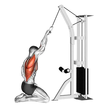 Cable One Arm Straight Back High Row (kneeling)